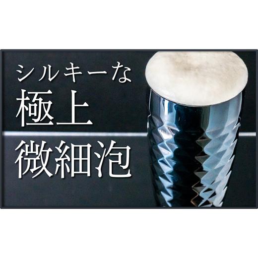 ふるさと納税 食器・グラス タンブラー 新潟県 燕市 ザ・ビアタンブラー・ブラック・スタッズ 2点セット FC147002の画像