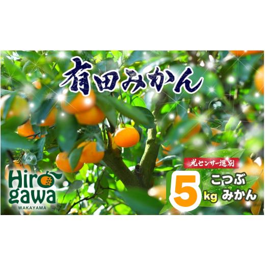 ふるさと納税 果物類 みかん 和歌山県 広川町 ちっちゃな 有田みかん こつぶみかん 家庭用 5kg (3S〜2Sサイズ混合) 光センサー選別 2026年11月中旬〜2027年1…