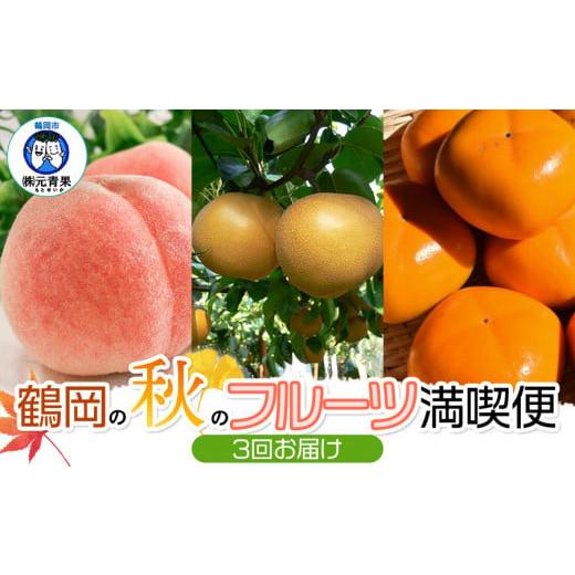 ふるさと納税 もも 山形県 鶴岡市 令和8年産 先行予約 鶴岡の秋のフルーツ満喫便 3回お届け 白桃・和梨・庄内柿 山形県鶴岡産 株式会社 元青果