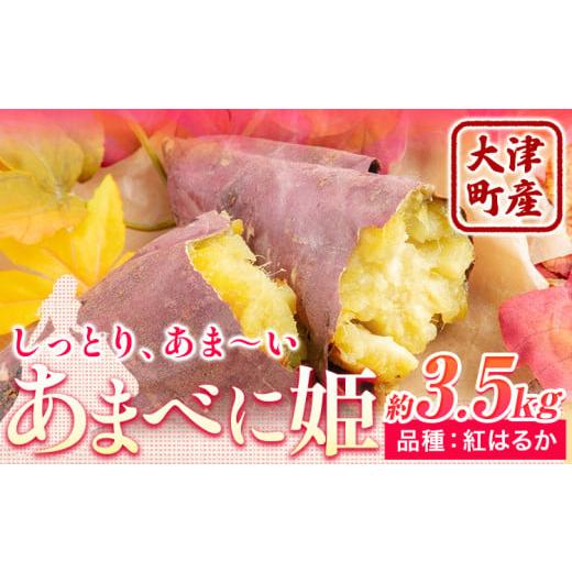 ふるさと納税 野菜類 サツマイモ 熊本県 大津町 熊本県 大津町産 あまべに姫 (紅はるか) 約3.5kg ガブレス[12月上旬-3月末頃出荷]さつまいも 芋 紫芋 高糖度