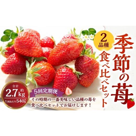ふるさと納税 いちご 福岡県 うきは市 5回定期便 よかもんいちご 2品種食べ比べセット 2025年12月上旬から2026年4月下旬 毎月出荷予定 いちご 苺 イチゴ 旬 …