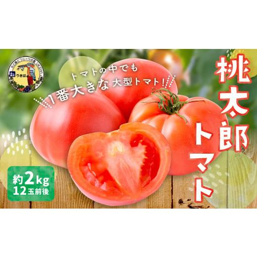 ふるさと納税 野菜類 トマト 福岡県 うきは市 道の駅 うきは 桃太郎トマト 12玉前後 (約2kg) 2025年11月上旬から2026年5月上旬 出荷予定 トマト とまと もも…