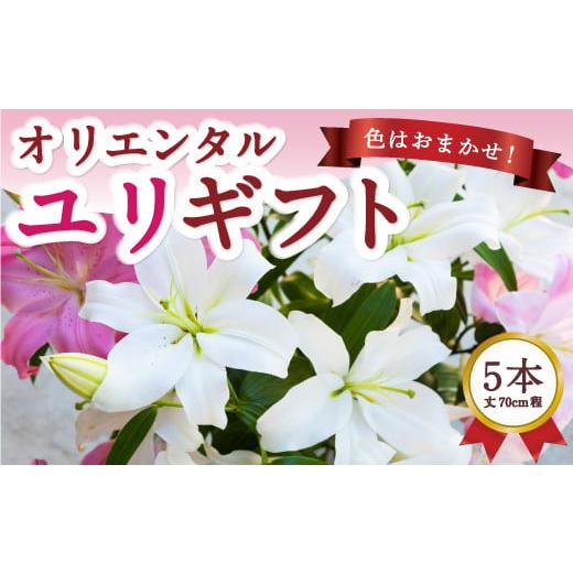 ふるさと納税 花・苗木 花束 福岡県 うきは市 2026年1月お届け 後藤花卉園 オリエンタルユリ ゆり ユリ 百合 花 お花 植物 ギフト 贈り物 プレゼント 鑑賞用 …