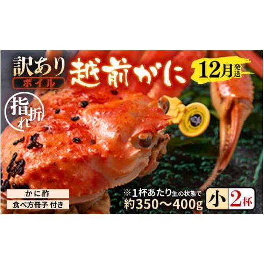 ふるさと納税 カニ ずわいガニ 福井県 坂井市 先行予約 訳あり 名人が茹でる指折れ訳あり越前がに(小)2杯 (1杯あたり生の状態で約350〜400g) やまに仕込み …