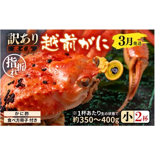 ふるさと納税 カニ ずわいガニ 福井県 坂井市 先行予約 訳あり 名人が茹でる指折れ訳あり越前がに(小)2杯 (1杯あたり生の状態で約350〜400g) やまに仕込み …