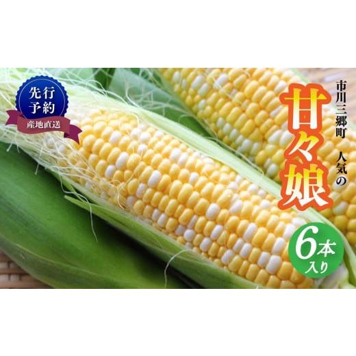 ふるさと納税 とうもろこし 山梨県 市川三郷町 市川三郷町産甘々娘(とうもろこし)6本入り 2026年6月上旬から発送 薬袋和幸農園