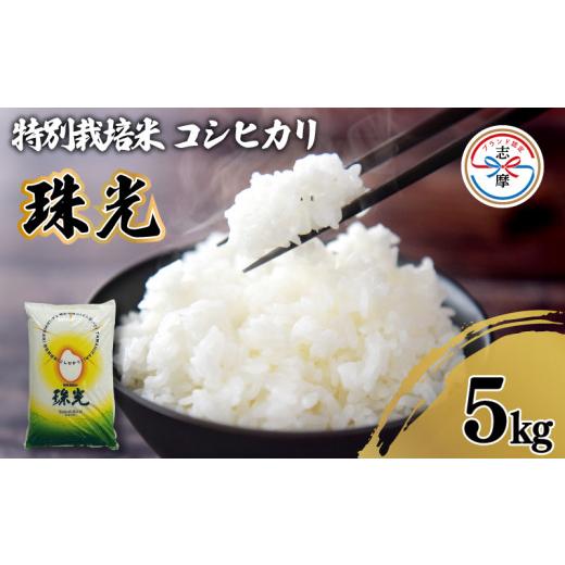 ふるさと納税 米 コシヒカリ 三重県 志摩市 令和7年産 コシヒカリ 5kg 特別栽培米 「珠光」 ブランド米 国産 新米 米 白米 精米 コシヒカリ お米 5キロ ご飯 …