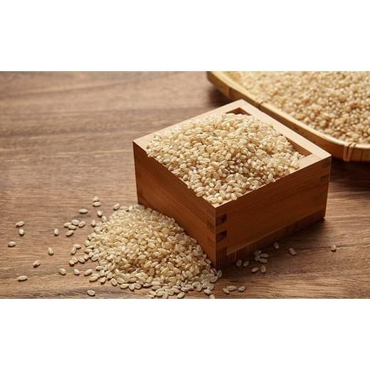 ふるさと納税 玄米 岩手県 陸前高田市 3ヶ月定期便 令和7年産 玄米 5kg×3ヶ月お届け 品種 たかたのゆめ 米 お米 ライス 陸前高田市 オリジナル ブランド米 …_2