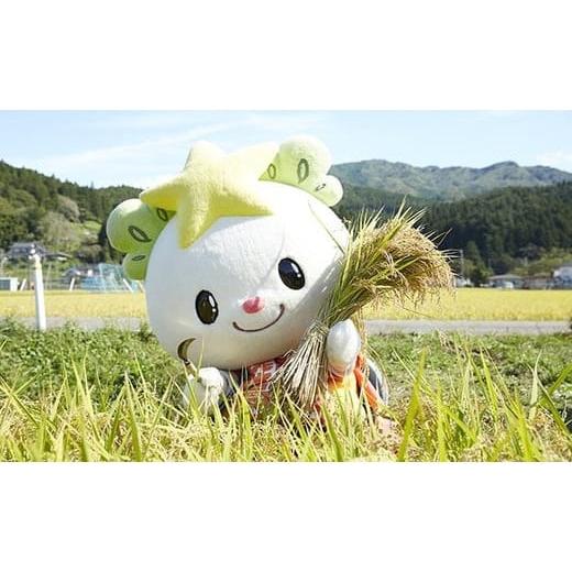 ふるさと納税 玄米 岩手県 陸前高田市 3ヶ月定期便 令和7年産 玄米 5kg×3ヶ月お届け 品種 たかたのゆめ 米 お米 ライス 陸前高田市 オリジナル ブランド米 …_3