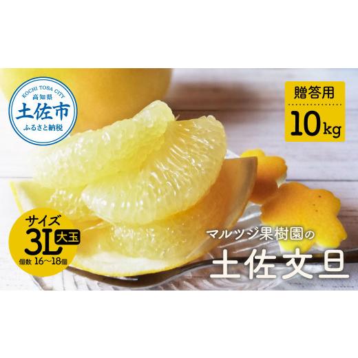 ふるさと納税 みかん・柑橘類 高知県 土佐市 先行予約 文旦 約10kg 大玉 [2027年2月1日から3月31日頃発送]土佐文旦 ぶんたん ブンタン 期間限定 数量限定 3…