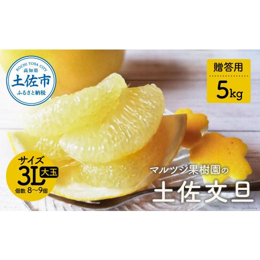 ふるさと納税 みかん・柑橘類 高知県 土佐市 先行予約 文旦 約5kg 贈答用 大玉 [2027年2月1日から3月31日頃発送]土佐文旦 ぶんたん ブンタン 期間限定 数量…