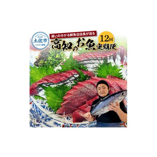 ふるさと納税 カツオ 高知県 土佐市  12回定期便 違いの分かる鮮魚店店長が送る 高知のお魚定期便 お申込翌月より12回お届け お楽しみ 定期便 魚 海鮮 魚介 カ…_1