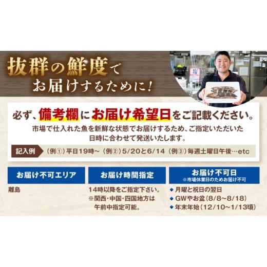 ふるさと納税 カツオ 高知県 土佐市  12回定期便 違いの分かる鮮魚店店長が送る 高知のお魚定期便 お申込翌月より12回お届け お楽しみ 定期便 魚 海鮮 魚介 カ…_5