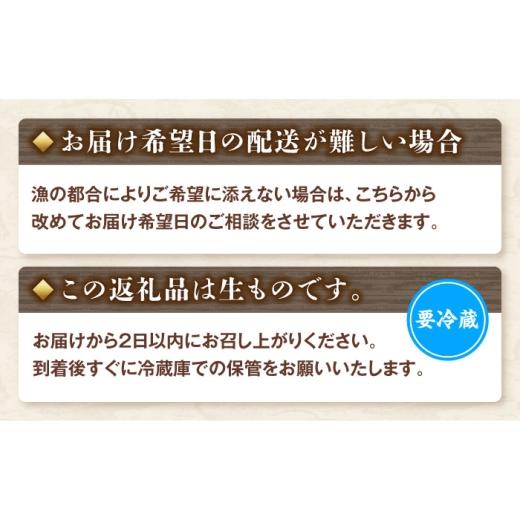 ふるさと納税 カツオ 高知県 土佐市  12回定期便 違いの分かる鮮魚店店長が送る 高知のお魚定期便 お申込翌月より12回お届け お楽しみ 定期便 魚 海鮮 魚介 カ…_7