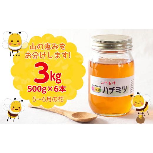 ふるさと納税 加工品等 はちみつ 千葉県 富津市  自然のまま 富津産ハチミツ（5〜6月の花）500g×6本 計3kgの画像