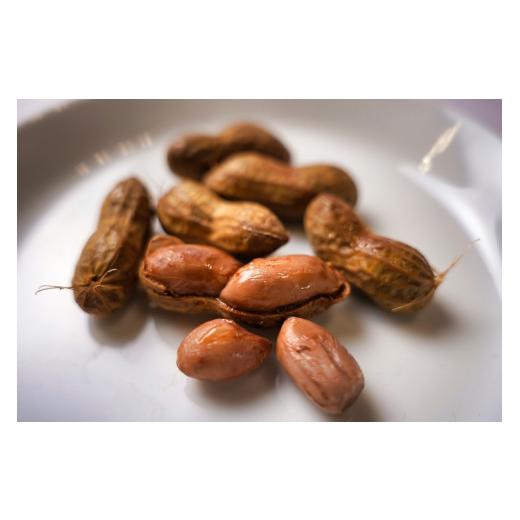 ふるさと納税 千葉県 銚子市 銚子産塩ゆで落花生（さや付き） 落花生 ピーナッツ 茹で落花生 銚子 千葉県産 手詰め 