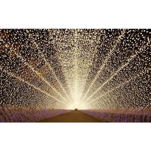 ふるさと納税 入場券・優待券 三重県 桑名市 なばなの里 イルミネーション特別入村券 2名様分 (ベゴニアガーデン入場券付) イルミネーション 2026年4月下旬…