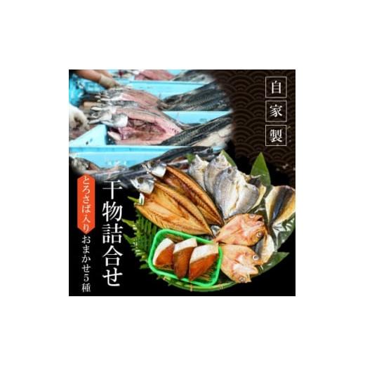 ふるさと納税 愛知県 南知多町 [南知多町・美浜町共通返礼品]魚太郎名物[とろさば]入り・自家製ひもの5種おまかせセット