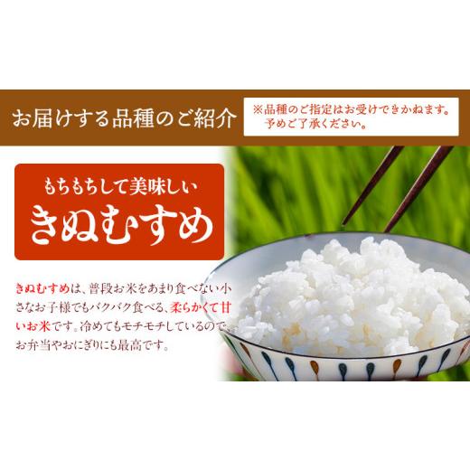 ふるさと納税 無洗米 岡山県 矢掛町 令和7年産 米 岡山県産 ありがとう園のお米 きぬむすめ または ひのひかり 無洗米 20kg ありがとう園《30日以内に出荷予定…_3