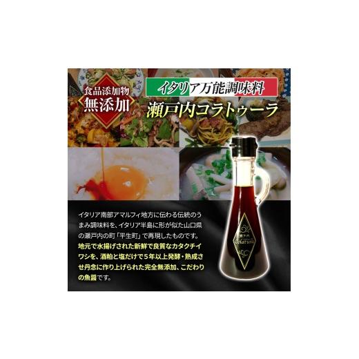 ふるさと納税 醤油 山口県 平生町  イタリア万能調味料 魚醤 瀬戸内コラトゥーラ 三角ボトル （ 110ml ） ｜ 家庭料理 調味料 海の幸 瀬戸内グルメ ギフト イ…の画像