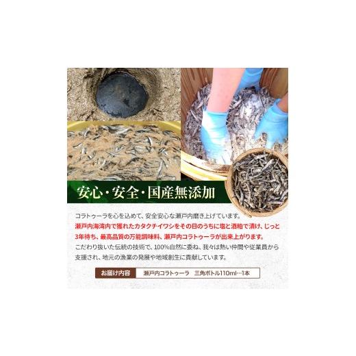 ふるさと納税 醤油 山口県 平生町  イタリア万能調味料 魚醤 瀬戸内コラトゥーラ 三角ボトル （ 110ml ） ｜ 家庭料理 調味料 海の幸 瀬戸内グルメ ギフト イ…の画像