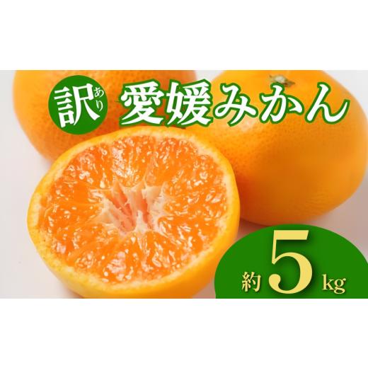 ふるさと納税 果物類 みかん 愛媛県 愛南町 訳あり 愛媛みかん 約5kg 10000円 みかん 蜜柑 温州みかん オレンジ 果物 フルーツ 柑橘 こたつ みかん 人気 期間 …