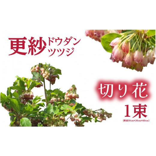 ふるさと納税 花・苗木 花束 福井県 美浜町 先行予約 更紗ドウダンツツジ 切り花 2027年4月25日から5月15日まで発送 ツツジ つつじ お花 花 はな フラワー …
