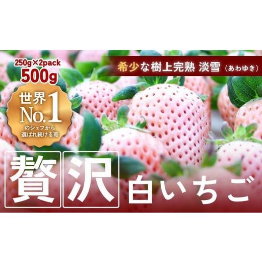 ふるさと納税 三重県 伊賀市 【完熟クラフト苺BERRY】海外セレブ御用達【樹上完熟白いちご】淡雪（あわゆき）約500g（出荷2023年12月上旬〜2024年5月下旬） 