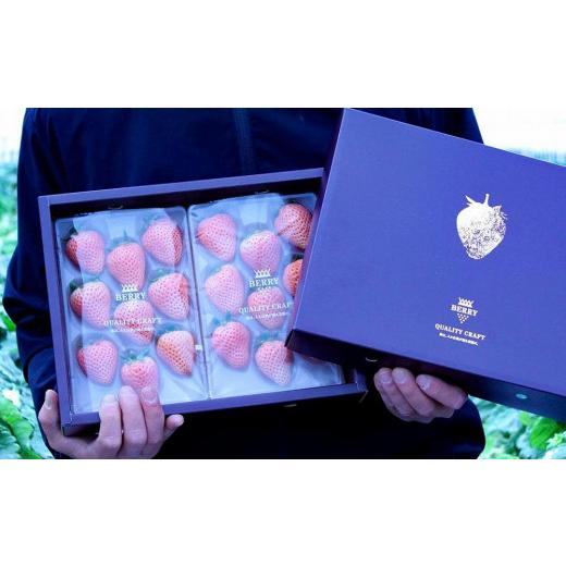 ふるさと納税 三重県 伊賀市 【完熟クラフト苺BERRY】海外セレブ御用達【樹上完熟白いちご】淡雪（あわゆき）約500g（出荷2023年12月上旬〜2024年5月下旬） 