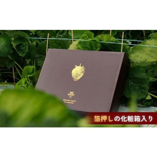 ふるさと納税 三重県 伊賀市 【完熟クラフト苺BERRY】海外セレブ御用達【樹上完熟白いちご】淡雪（あわゆき）約500g（出荷2023年12月上旬〜2024年5月下旬） 