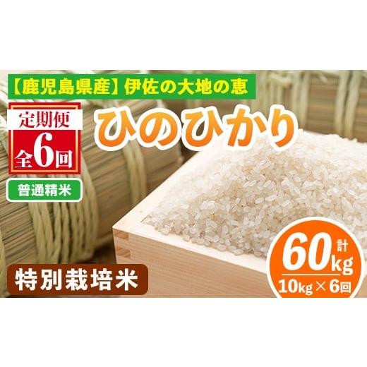 ふるさと納税 米 鹿児島県 伊佐市 isa517-A 定期便6回 普通精米 選べる精米方法 令和7年産 鹿児島県伊佐産 特別栽培ひのひかり(計60kg・10kg×6ヵ月) 国産 白…