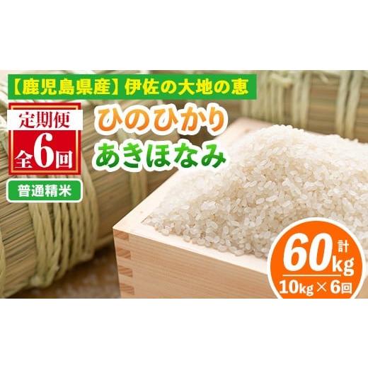 ふるさと納税 米 鹿児島県 伊佐市 isa518-A 定期便6回 普通精米 選べる精米方法 令和7年産 鹿児島県伊佐南浦産 ひのひかり5kg・あきほなみ5kg (合計60kg・計10…