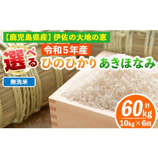 ふるさと納税 米 鹿児島県 伊佐市 isa518-B 定期便6回 無洗米 選べる精米方法 令和7年産 鹿児島県伊佐南浦産 ひのひかり5kg・あきほなみ5kg (合計60kg・計10kg…