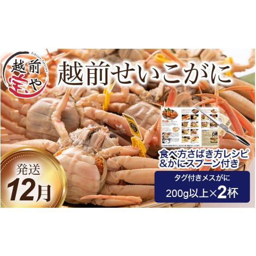 ふるさと納税 福井県 福井市 【12月】 ボイル済 越前せいこ蟹／セコガニ（メス） 200g以上×2杯【 越前ガニ 越前がに セイコガニ せいこがに 茹でガニ 】[B-08… メス セイコガニ 発送期日