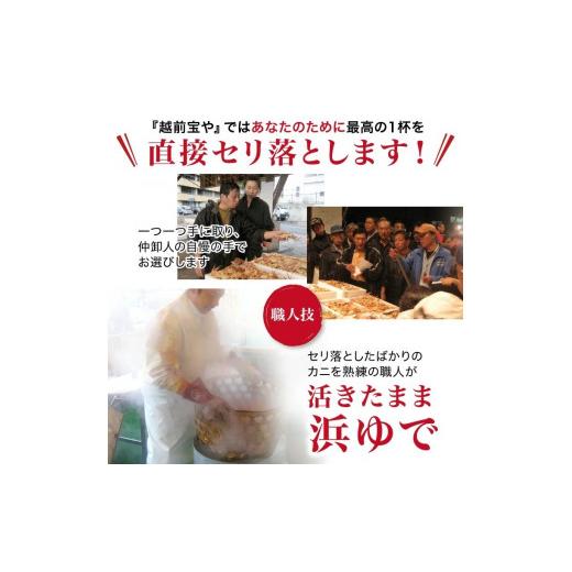 ふるさと納税 福井県 福井市 【12月】 ボイル済 越前せいこ蟹／セコガニ（メス） 200g以上×2杯【 越前ガニ 越前がに セイコガニ せいこがに 茹でガニ 】[B-08… メス セイコガニ 発送期日