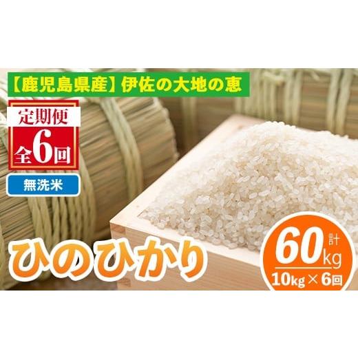 ふるさと納税 米 鹿児島県 伊佐市 isa520-B 定期便6回 無洗米 選べる精米方法 令和7年産 鹿児島県伊佐南浦産ひのひかり (合計60kg・計10kg×6ヵ月) 国産 白米 …