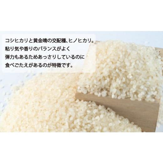 ふるさと納税 米 ヒノヒカリ 愛媛県 愛南町 先行予約 新米 令和7年産 ヒノヒカリ 10kg 18000円 お米 白米 精米 低温 貯蔵庫 産地直送 国産 農家直送 期間限定 … 令和7年産 数量限定 5回定期便】四万十市産 米 ヒノヒカリ 5kg×5回（計25kg） 四万十川の支流で育った 山間米 高知県 高知 四万十  しまんと お米 白米 精米 ひのひかり 甘み 粘り 香り 産地直送 お弁当 ごはん ご飯 25-861 / 高知県四万十市 | セゾンのふるさと納税