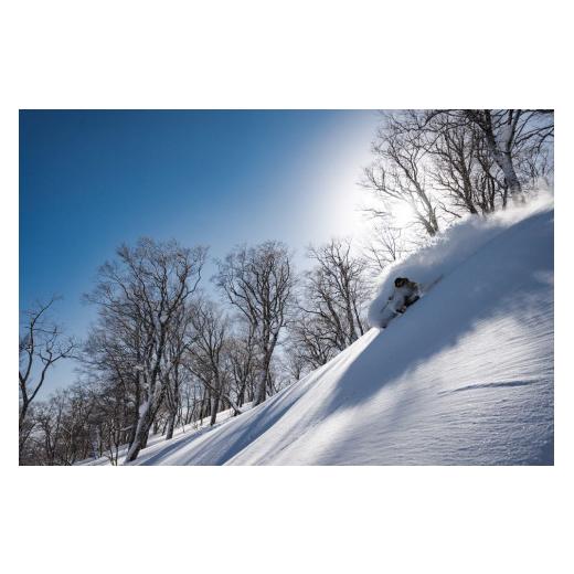 ふるさと納税 岩手県 北上市 早割シーズン券 [ 大人 ]　夏油高原 スキー場 早割 前売り シーズン券 レンタル、各種サービス サービスクーポン、引換券 その他クーポン券