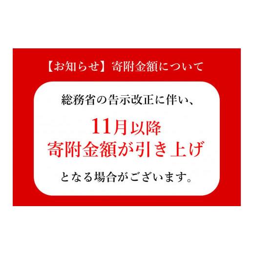 ふるさと納税 岩手県 北上市 早割シーズン券 [ 大人 ]　夏油高原 スキー場 早割 前売り シーズン券 レンタル、各種サービス サービスクーポン、引換券 その他クーポン券