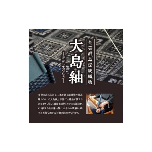 ふるさと納税 織物・繊維品 鹿児島県 和泊町 本場奄美大島紬 中綿入りポーチ（変わり格子柄）　W040-005-2u_3