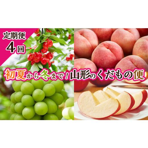 ふるさと納税 山形県 山形市 [定期便4回]初夏から冬まで!山形のくだもの便 [令和6年産先行予約]FS23-701 フルーツ定期便 果物 さくらんぼ 佐藤錦 もも 桃…