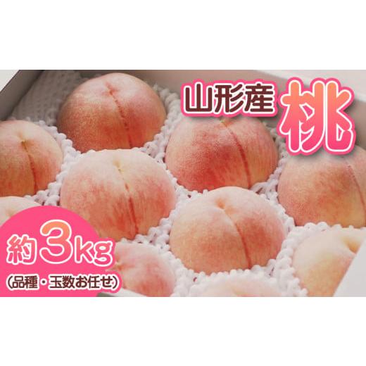 ふるさと納税 もも 山形県 山形市 山形産 もも (品種・玉数お任せ) 令和8年産先行予約 FS23-711 くだもの 果物 フルーツ 山形 山形県 山形市 2026年産の画像