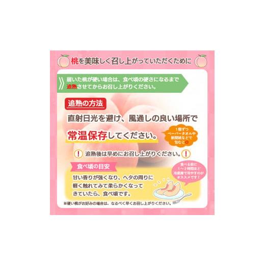 ふるさと納税 もも 山形県 山形市 山形産 もも (品種・玉数お任せ) 令和8年産先行予約 FS23-711 くだもの 果物 フルーツ 山形 山形県 山形市 2026年産の画像
