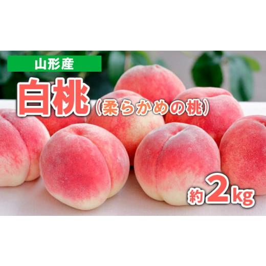 ふるさと納税 もも 山形県 山形市 山形産 白桃 (柔らかめの桃) 約2kg 秀品 令和8年産先行予約 FS23-717 くだもの 果物 フルーツ 山形 山形県 山形市 2026年産