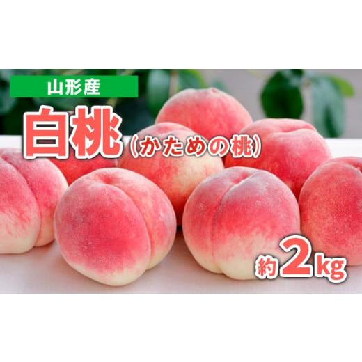 ふるさと納税 もも 山形県 山形市 山形産 白桃 (かための桃) 約2kg 秀品 令和8年産先行予約 FS23-719 くだもの 果物 フルーツ 山形 山形県 山形市 2026年産