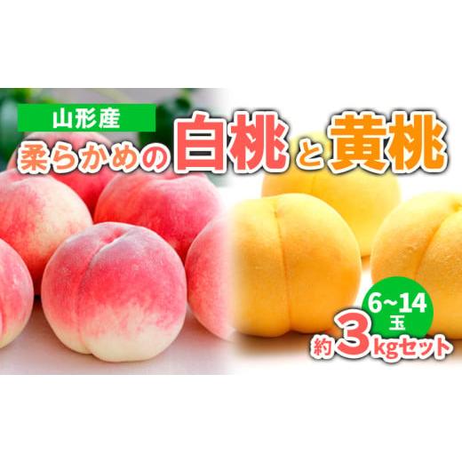 ふるさと納税 もも 山形県 山形市 山形産 柔らかめの白桃と黄桃 約3kgセット(6〜14玉) 令和8年産先行予約 FS23-720 くだもの 果物 フルーツ 山形 山形県 山…