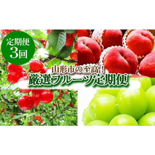 ふるさと納税 果物類 さくらんぼ 山形県 山形市 定期便3回 山形市の至高 山形市厳選フルーツ定期便 令和8年産先行予約 FS24-587 くだもの 果物 フルーツ 山形…