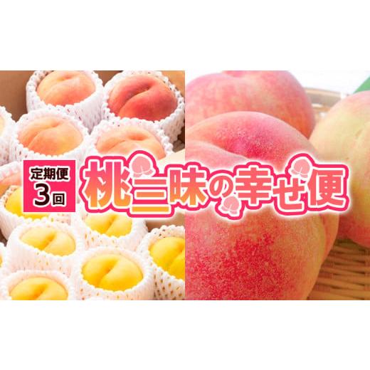 ふるさと納税 もも 山形県 山形市 定期便3回 桃三昧の幸せ便 令和8年産先行予約 FS25-612 くだもの 果物 フルーツ 山形 山形県 山形市 2026年産