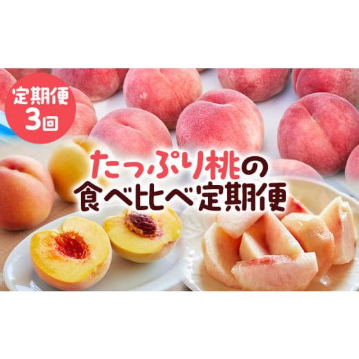 ふるさと納税 もも 山形県 山形市 定期便3回 たっぷり桃の食べ比べ定期便 令和8年産先行予約 FS23-768 くだもの 果物 フルーツ 山形 山形県 山形市 2026年産