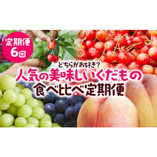 ふるさと納税 果物類 さくらんぼ 山形県 山形市 定期便6回 どちらがお好き?人気の美味しいくだもの食べ比べ定期便 令和8年産先行予約 FS23-772 くだもの 果…